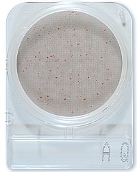 Compact Dry AQ Гетеротрофные микроорганизмы